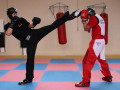 Swiss-Kickboxing-Team_WAKO-196