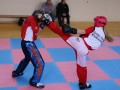 swisskickboxer-80