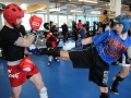 swiss-kickboxer-11