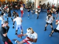 swiss-kickboxer-6