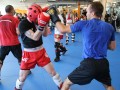 swiss-kickboxer-60