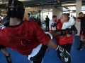 swiss-kickboxer-7