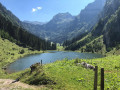 image00003