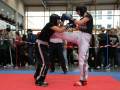 WAKO_Seenger-Cup_Martin-Nagel-255