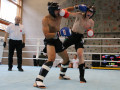 WAKO_Seenger-Cup_Martin-Nagel-410