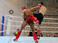 WAKO_Seenger-Cup_Martin-Nagel-435