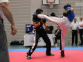 WAKO_Seenger-Cup_Martin-Nagel-94