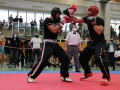 swisskickboxer_Reinacher-Cup-2021-108