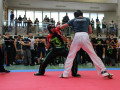 swisskickboxer_Reinacher-Cup-2021-58