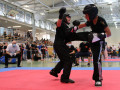 www.swisskickboxer-115