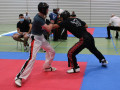 www.swisskickboxer-116