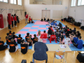 Kickboxing-Schweiz-2