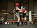 All-Kick-Boxing-Cup-2021-Losone-293