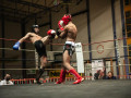 All-Kick-Boxing-Cup-2021-Losone-313