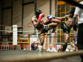 All-Kick-Boxing-Cup-2021-Losone-342