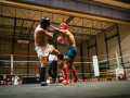 All-Kick-Boxing-Cup-2021-Losone-390