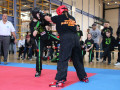 Kickboxen-Schweiz-155