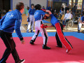 Kickboxen-Schweiz-289