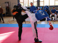 Kickboxen-Schweiz-308