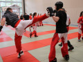 swisskickboxer-59