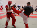 swisskickboxer-67