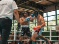 IMG_2614