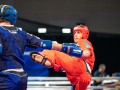 20230630-DSC06438