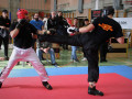 WAKO-Reinacher-Cup-2023-Kickboxen-194