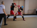 IMG_0560