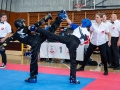 WAKO Seetaler Cup 2023