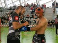 DSC0154