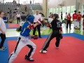DSC0184