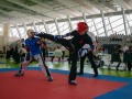 DSC0242