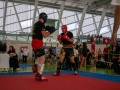 DSC0261