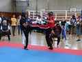 IMG_7326