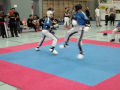 IMG_20170625_103831