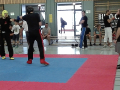 IMG_20170625_155133