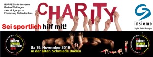 BurpeeChallenge2016